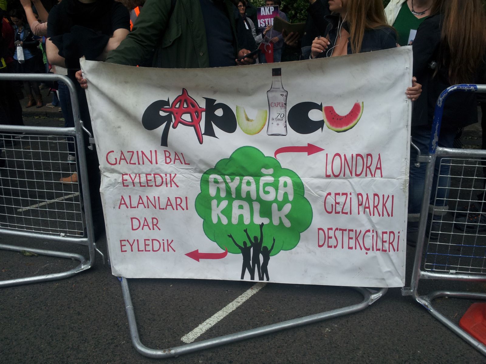 Gezi Park Protestosu-Turkish Embassy